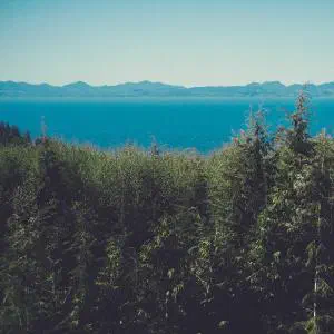 Grid Image 1