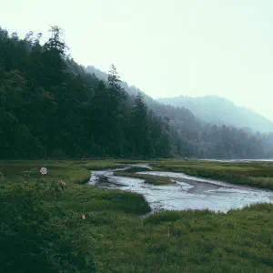 Grid Image 2